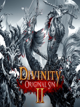 Divinity: Original Sin 2 (PC) - Steam Account - GLOBAL